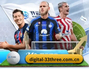 digital-33three.com.cn APP 深度功能